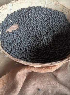 Industrial-grade seeds